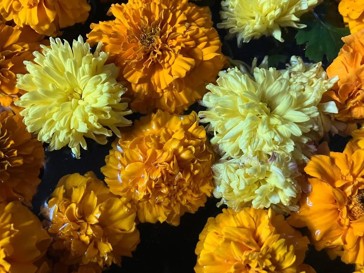 Sacred Trails Homestay Kathmandu Bed & Breakfast